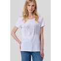 Fracomina t-shirt regular in jersey fp26st3004j41801 [33b5e3f8]