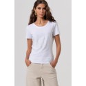 Fracomina t-shirt maniche corte in jersey fp26st3002j401n5 [c1f0eb65]