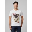 Guy t-shirt in jersey di cotone Cabrio115-sb M49886 [ee28120d]