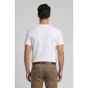 Beverly Hills Polo Club t-shirt in jersey di cotone TS450053 [bcd0c013]