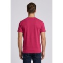 Beverly Hills Polo Club t-shirt in jersey di cotone TS450053 [0b03b4fd]