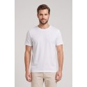 Beverly Hills Polo Club t-shirt in jersey di cotone TS450044 [2f04f5c1]