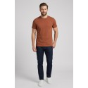 John Richmond t-shirt in jersey di cotone Semite UMP26024TS [d1afcf1e]