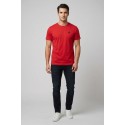 Beverly Hills Polo Club t-shirt in jersey di cotone TS41740 [c268cbce]
