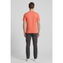 Beverly Hills Polo Club t-shirt in jersey di cotone TS41740 [f5ea5c3c]