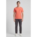 Beverly Hills Polo Club t-shirt in jersey di cotone TS41740 [42f79d38]