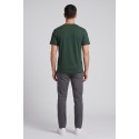 Beverly Hills Polo Club t-shirt in jersey di cotone TS416080 [7f394aa5]