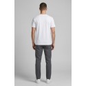 Beverly Hills Polo Club t-shirt in jersey di cotone TS416061 [329ee538]