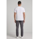 Beverly Hills Polo Club t-shirt in jersey di cotone TS450041 [5abc3d79]
