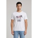 Beverly Hills Polo Club t-shirt in jersey di cotone TS450038 [0b8d0659]