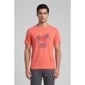 Beverly Hills Polo Club t-shirt in jersey di cotone TS450038 [689a6f24]