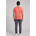 Beverly Hills Polo Club t-shirt in jersey di cotone TS450038 [b1bc2c29]