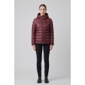 Blauer giacca corta imbottita Sorona Aura Ellis 26WBLDC02221-007284 [986c722b]