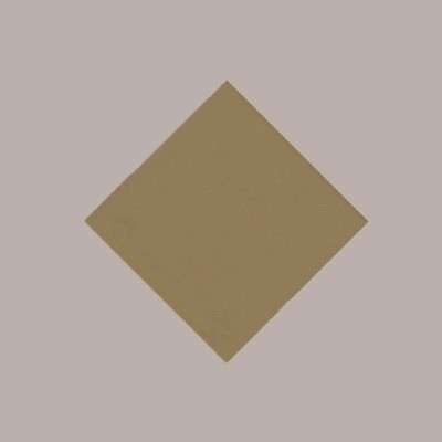 25 Pz Tovaglia TNT Tessuto non Tessuto Nocciola 45 gr 100x100 [42c2c6ba]