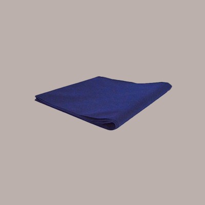 25 Pz Tovaglia TNT Tessuto non Tessuto Blu 45 gr 100x100 [fa98d35d]