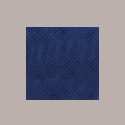 100 Pz Tovagliette TNT Tinta Unita Blu Notte Monouso 33x45 [4d851259]