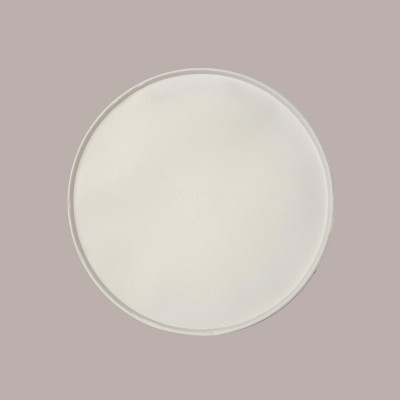 25 Pezzi Piatto Bio Eco Pizza Dm33 in Carta Polpa Pura Cellulosa [327eb223]