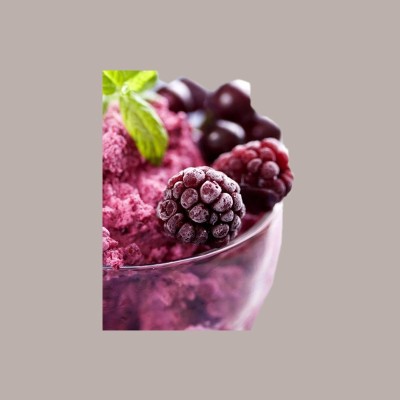 1,25 Kg Easy Gusto Frutti di Bosco Preparato in Polvere per Gelato Leagel [e9a6a829]