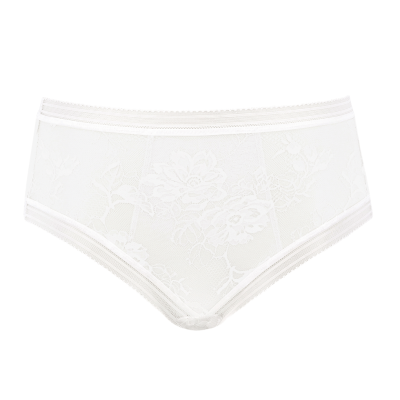 Slip Fusion Lace bianco Fantasie