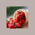 Purea di frutta Gusto Fragola Conservazione a Temperatura Ambiente 1,5 Kg [ca76096e]