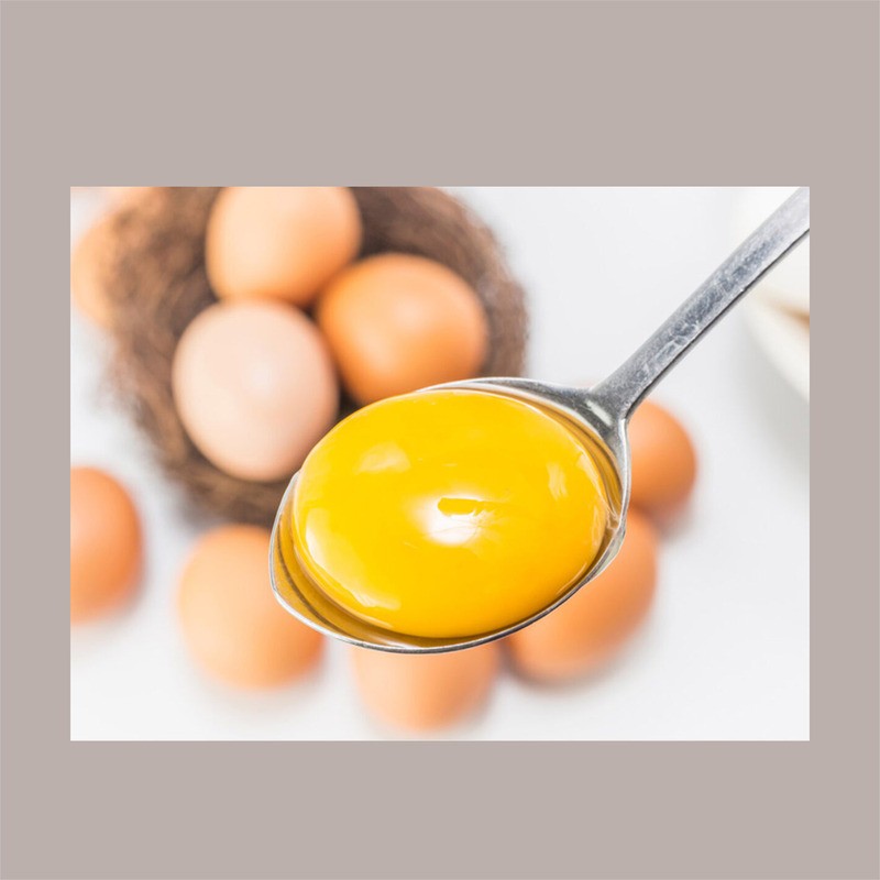 Tuorlo d'Uovo Zuccherato 50% Stabilizzato EUROVO Brik da 1,25 Kg [2a86e159]