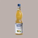 Sciroppo Concentrato per Granita Gusto Zenzero Ginger Mixybar Fabbri 1,3 Kg [d1ba4571]