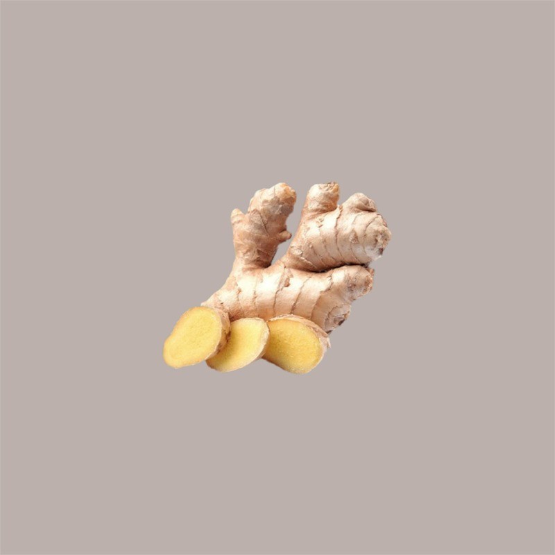 Sciroppo Concentrato per Granita Gusto Zenzero Ginger Mixybar Fabbri 1,3 Kg [089c067c]