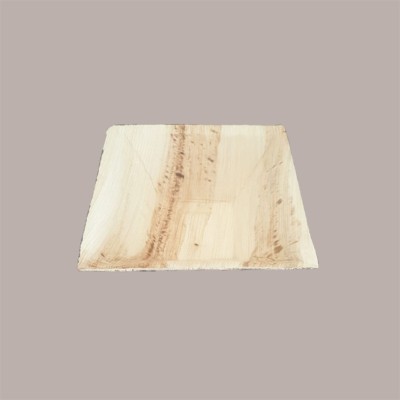 Ciotola Piatto Fondina Quadrato Foglia Palma Bio 160x160H45 mm 25 Pz [07bc7026]