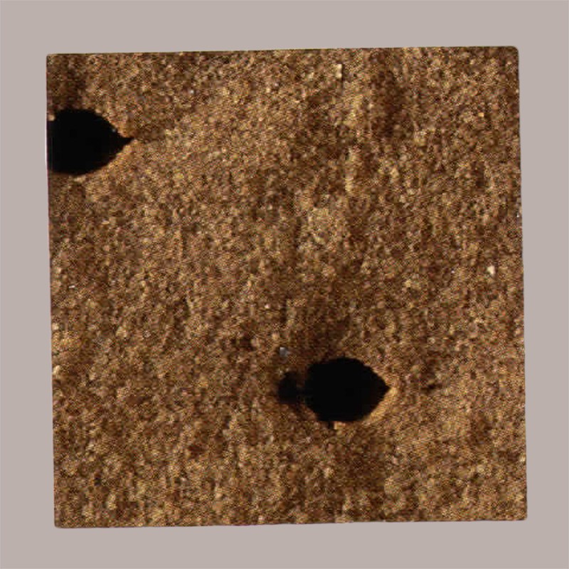 Biscotto Gelato Rettangolare Cacao Choco Long Break&Go 320 Pezzi [9b257439]