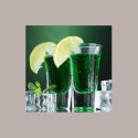 Sciroppo per Granita Gusto Menta Formato Piccolo Toschi 740 gr [46339996]