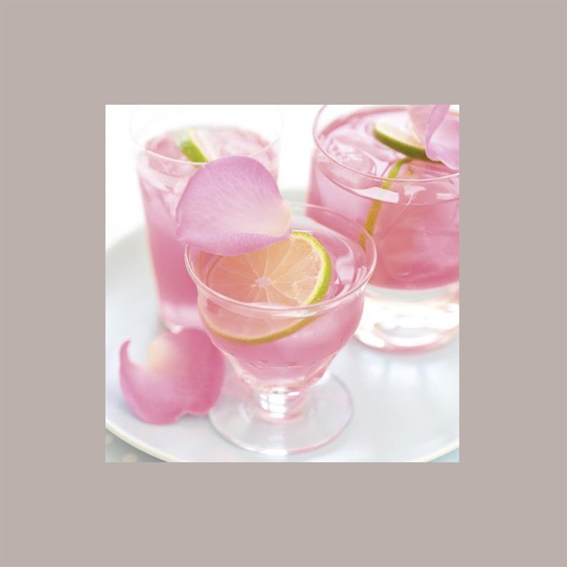 Sciroppo per Granita Gusto Rosa Toschi 1,320 kg [1401f6f6]