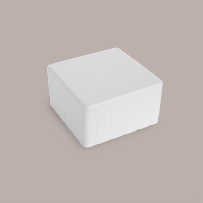 Cassa Termica Bassa in Polistirolo DOMOCLASS per Trasporto Torte Gelato e Semifreddi 21,5x21,5h8 cm 6 pezzi [b847e0bb]