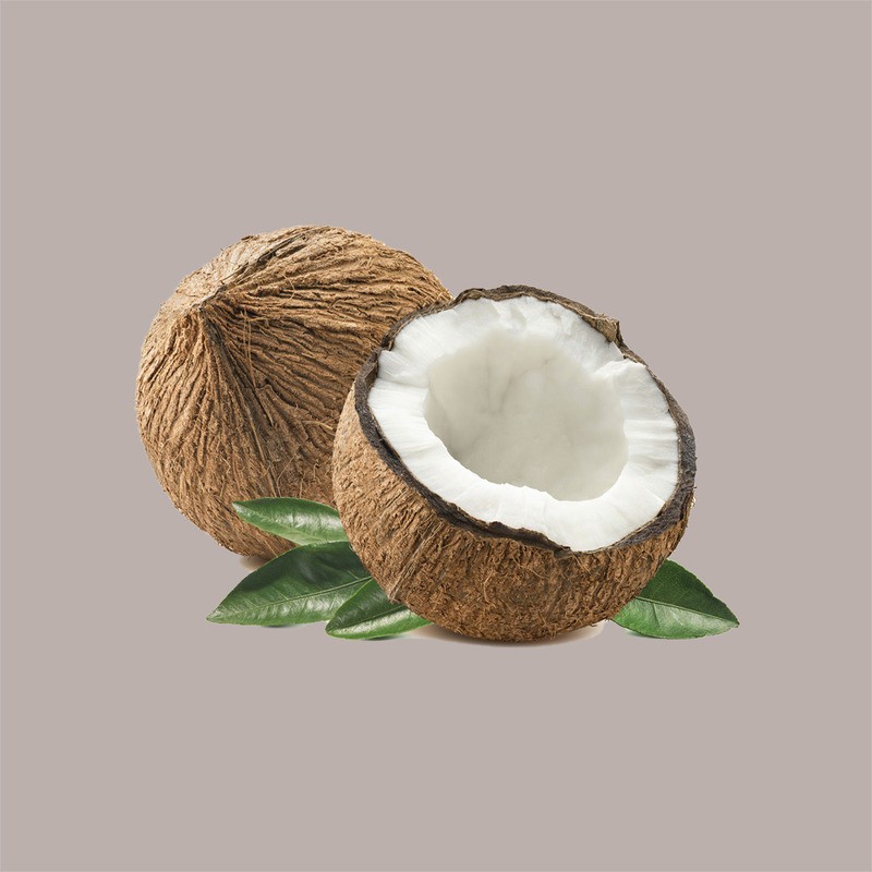 Pasta Concentrata al Cocco per Gelato e Pasticceria Leagel 3,5 kg [d0922c7c]