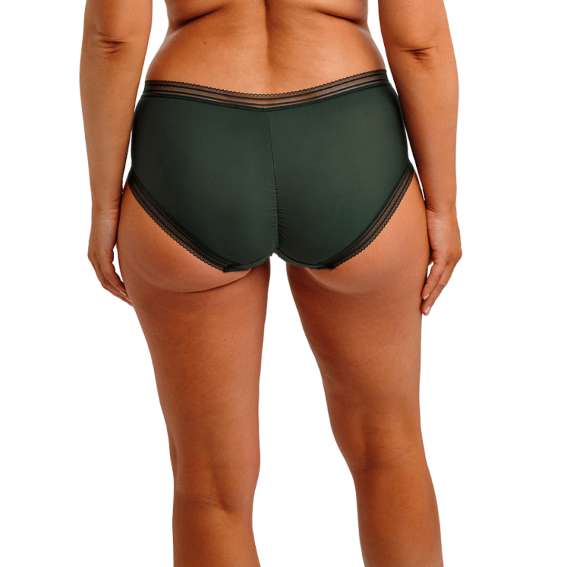 Slip Fusion evergreen