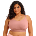 Bralette cotone Downtime  Ash Rose di Elomi