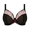 Reggiseno Teagan nero Rainbow Elomi