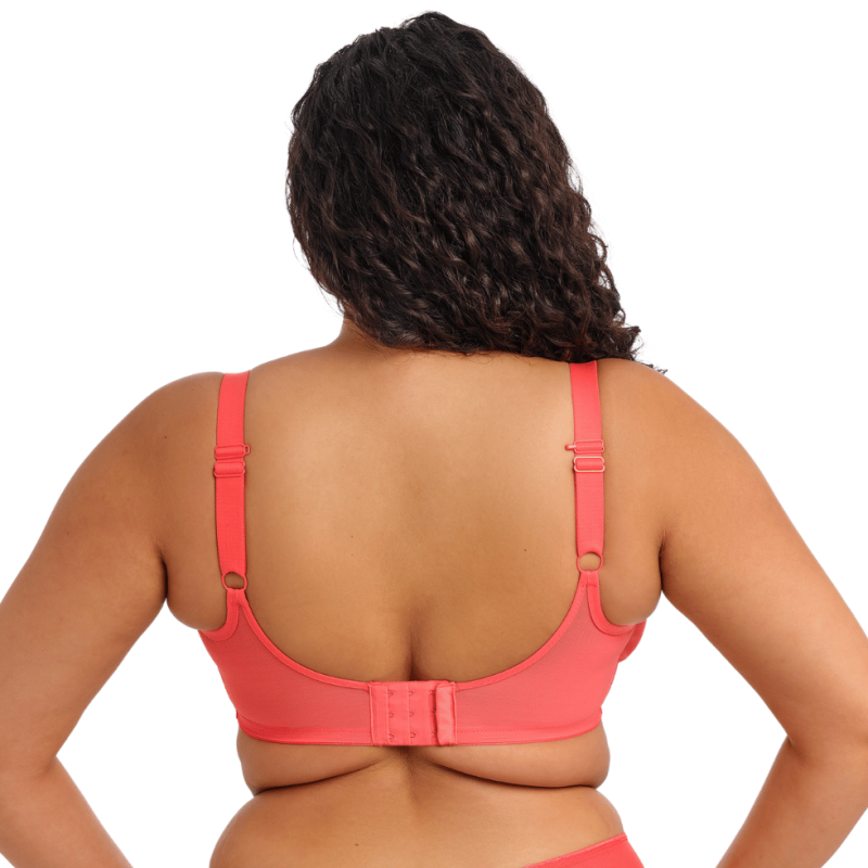 Reggiseno soft Matilda sunset di Elomi Lingerie